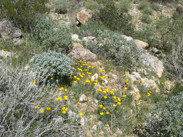 P1240034