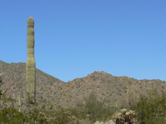 P1230973