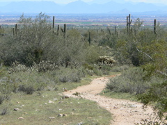P1230977