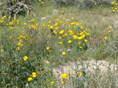 P1240019