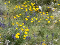 P1240026