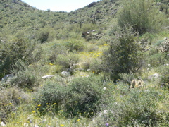 P1240028