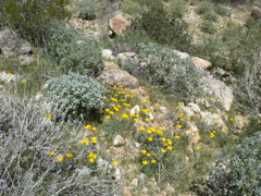 P1240034