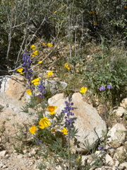 P1240106