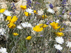 P1240111