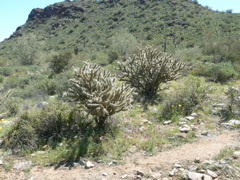 P1240120