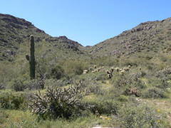 P1240132