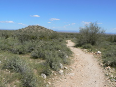P1240133
