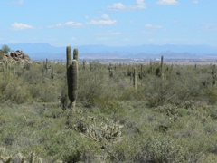P1240141
