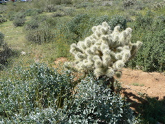 P1230994