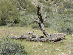 P1240003